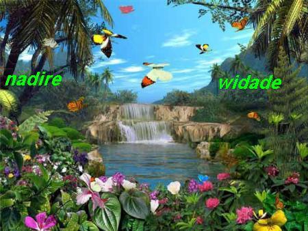 nadire et widade